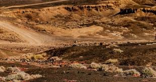 MLB》右肘被150速球击中取消登板 大谷翔平仍扛打击9轰重返全垒打王